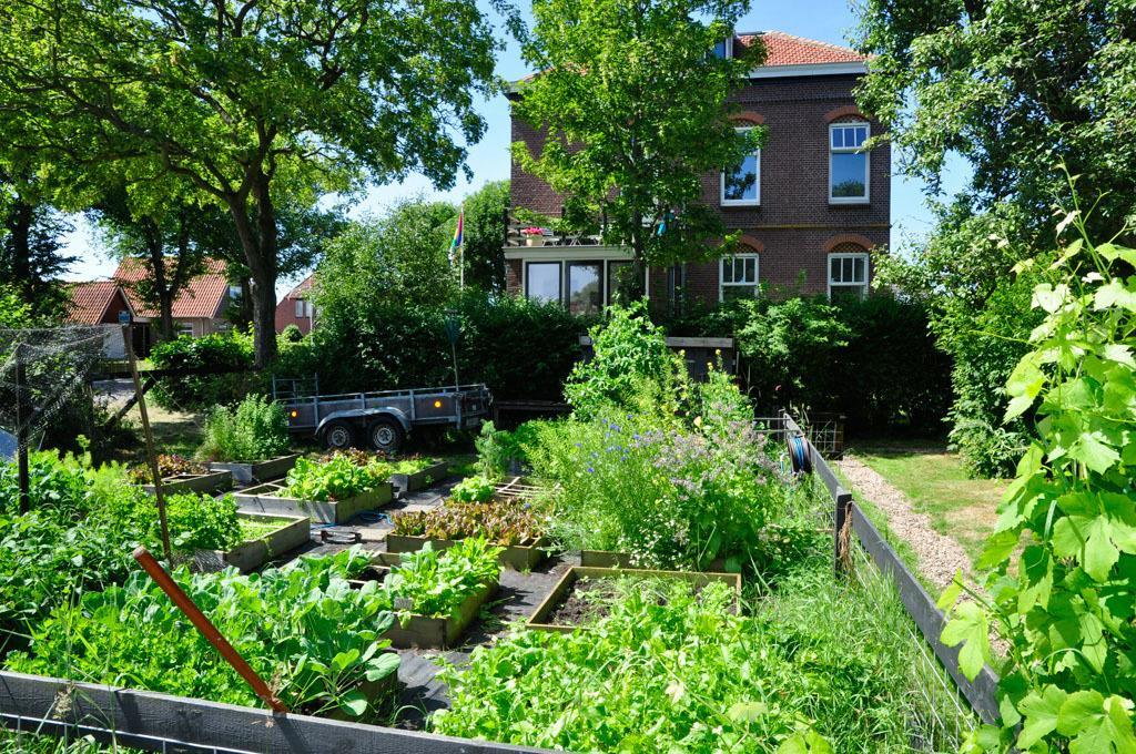 B&B De Postoari Terschelling Hoorn  Kültér fotó